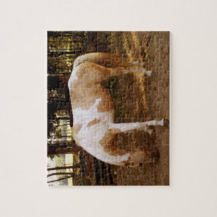 Horse 3 Puzzle
