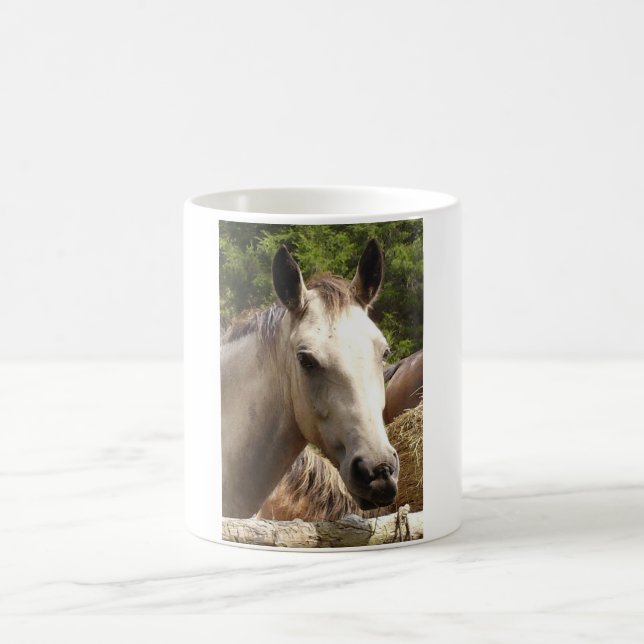 Horse 4  Mug (Center)