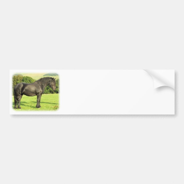Horse 9A53D-20 Bumper Sticker (Front)