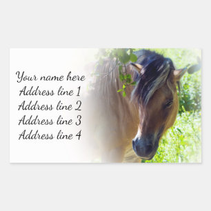 Horse Address Labels
