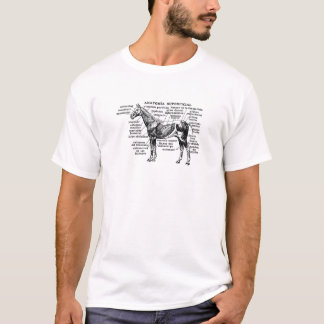 horse anatomy 1 T-Shirt