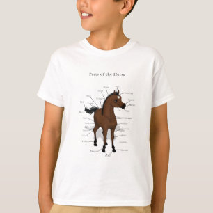 Horse Anatomy Chart on Bay Foal with Star T-Shirt