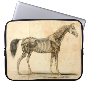 Horse Anatomy Laptop Sleeve