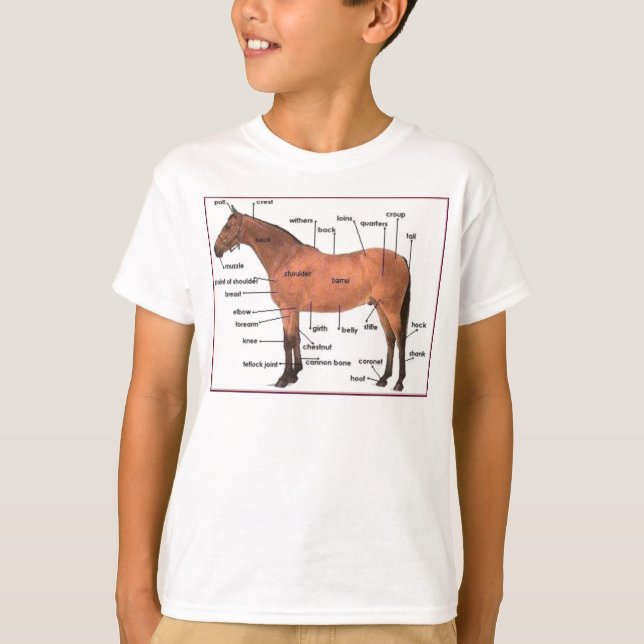horse anatomy tee (Front)