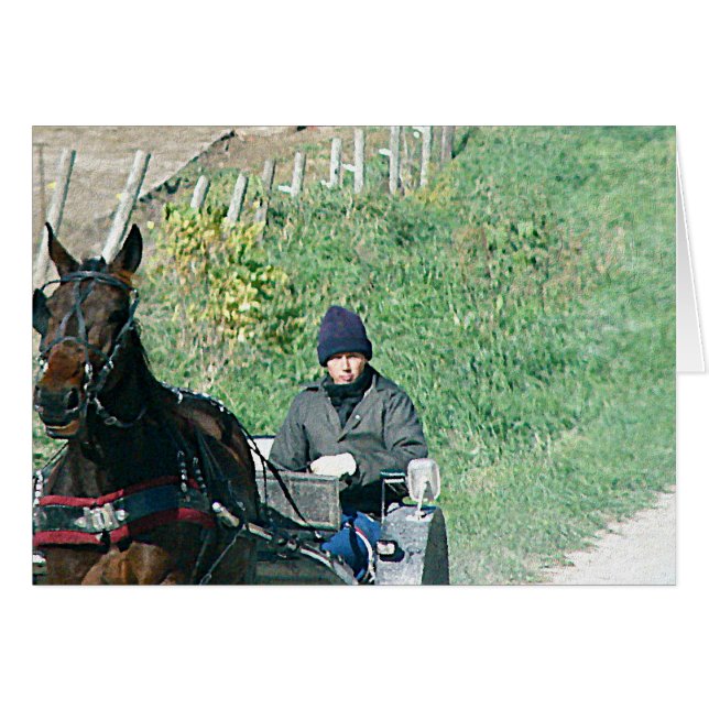 Horse and Buggy (Front Horizontal)