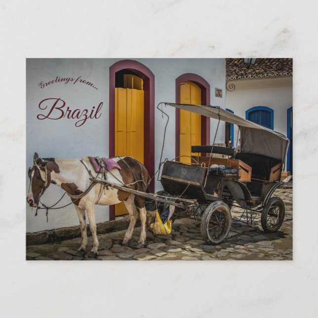 Horse and Buggy in Brazil Postcard (Front)