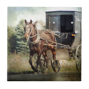 Horse and Buggy in Rural Iowa Tile