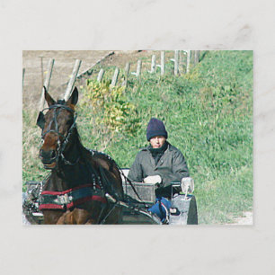 Horse and Buggy Postcard