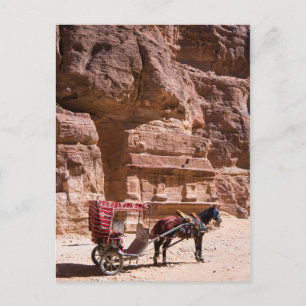 Horse and Carriage in Petra Postcard
