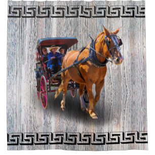 HORSE AND CARRIAGE SHOWER CURTAIN