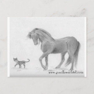 Horse and Cat Postcard