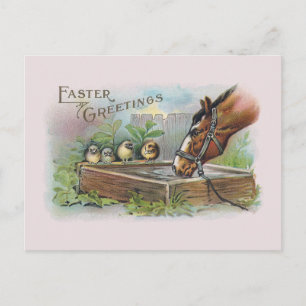 Horse and Chicks Vintage Easter Holiday Postcard