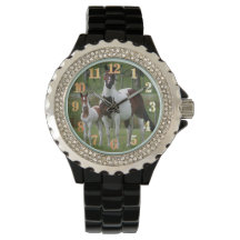 Horse and Colt : Women's Rhinestone Black Enamel W