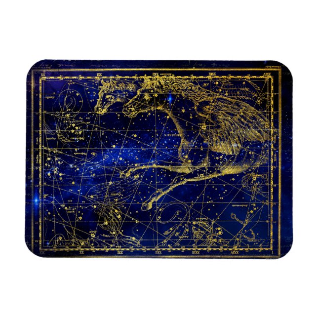 horse and dolphin constellation magnet (Horizontal)