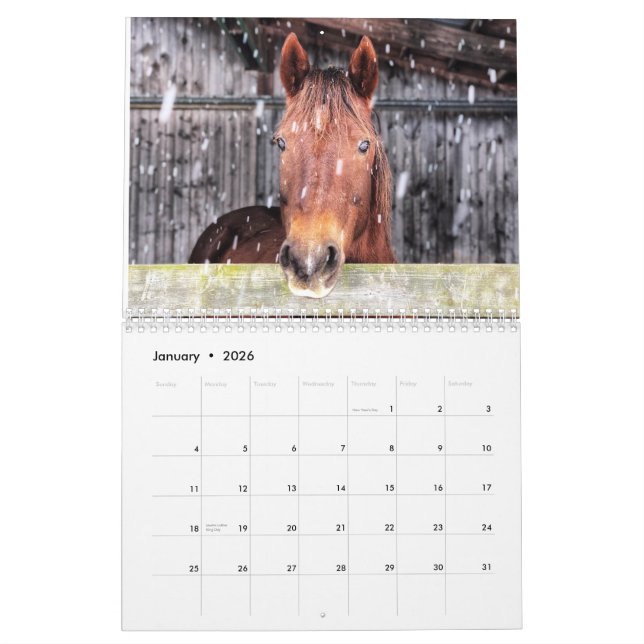 Horse and donkey calendar 2025 (Jan 2026)