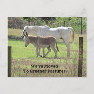 Horse and Donkey New Address Post Card