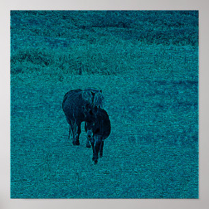 Horse and Donkey Poster