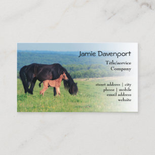 Horse and Foal on a meadow Business Card