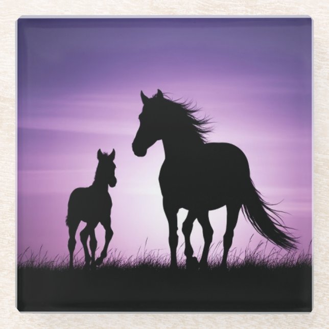 Horse and Foal Silhouette  Glass Coaster (Front)
