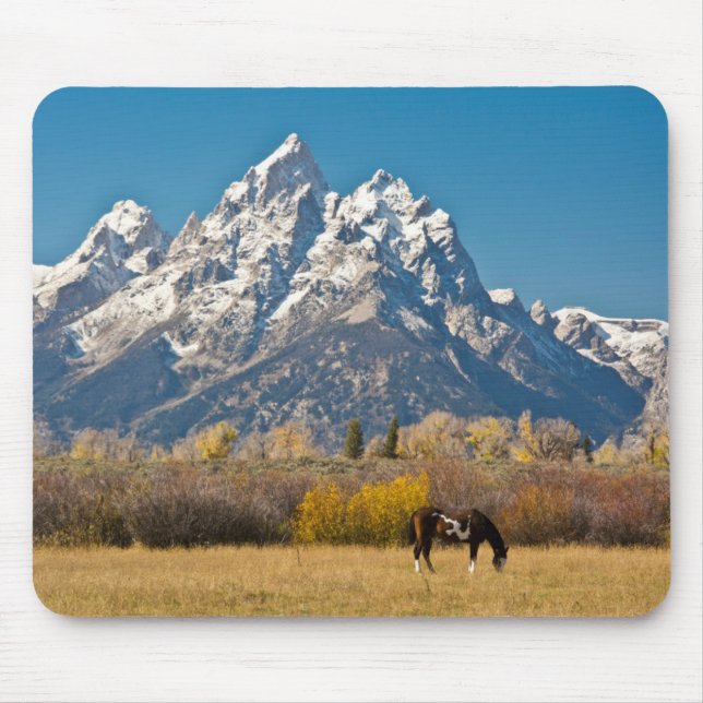 Horse and Grand Tetons, Moose Head Ranch Mouse Mat (Front)