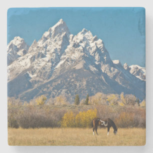 Horse and Grand Tetons, Moose Head Ranch Stone Coaster