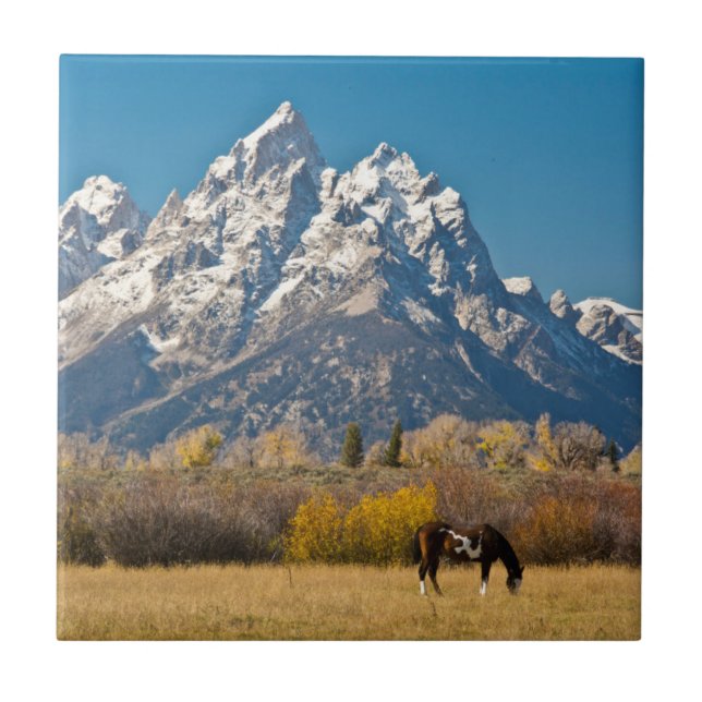 Horse and Grand Tetons, Moose Head Ranch Tile (Front)