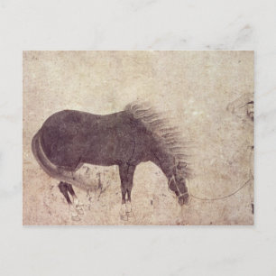 Horse and Groom in Winter Postcard