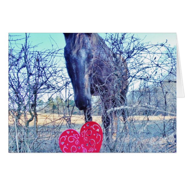 Horse and  Heart (Front Horizontal)