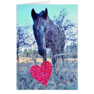 Horse and Heart