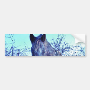 Horse and  Heart Bumper Sticker