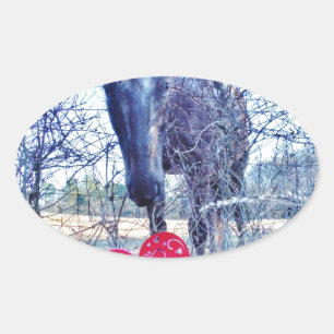 Horse and  Heart Oval Sticker