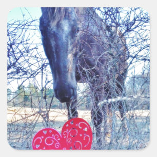 Horse and  Heart Square Sticker