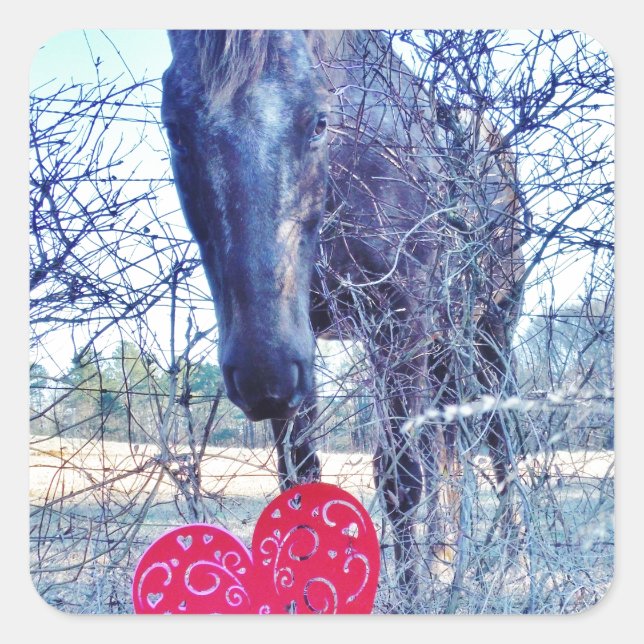 Horse and  Heart Square Sticker (Front)