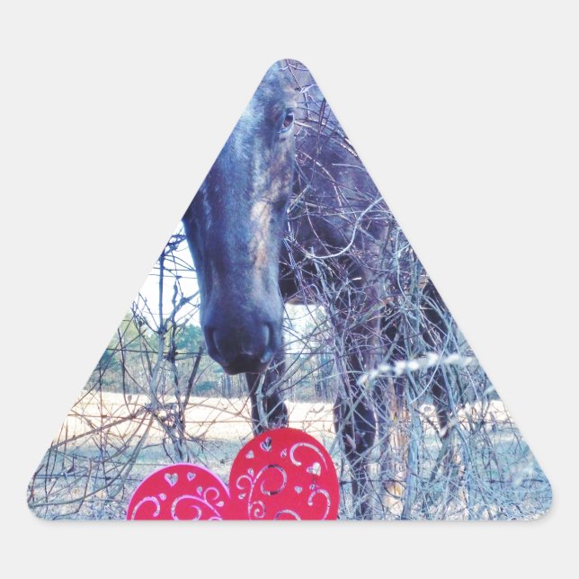 Horse and  Heart Triangle Sticker (Front)