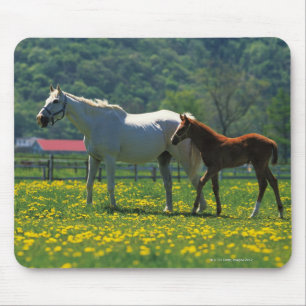 Horse and her foal standing in a field mouse mat