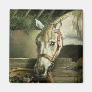 Horse and kittens, 1890 magnet