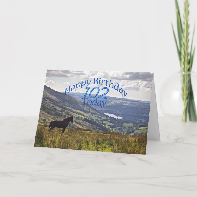 Horse and landscape 102nd birthday card (Front)