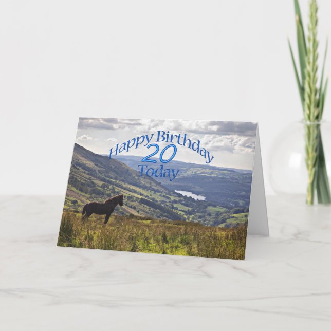 Horse and landscape 20th birthday card (Front)