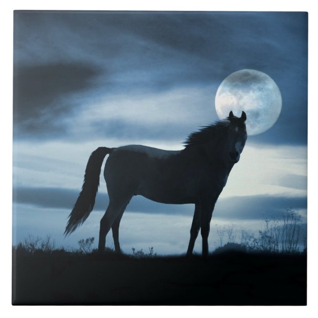 Horse and Moon Art Tile (Front)