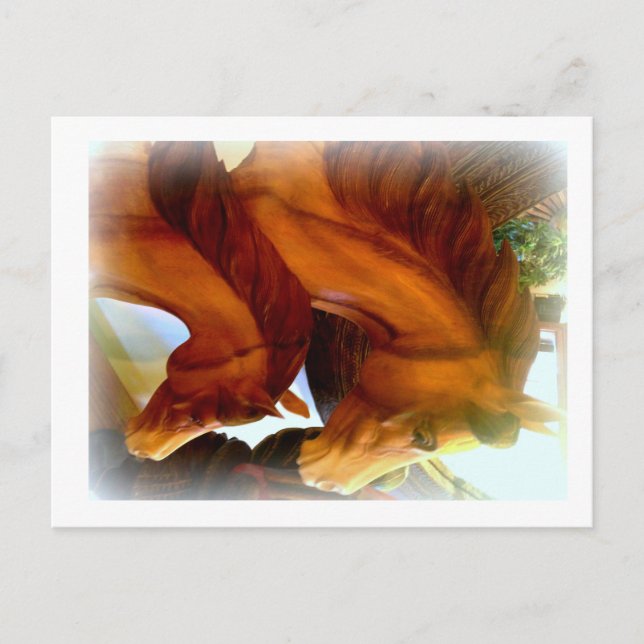 horse and pony postcard (Front)