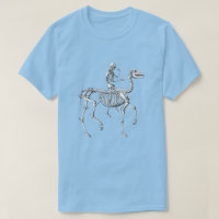 Horse and rHuman Rider Skeleton