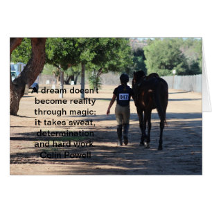 horse and rider hard work