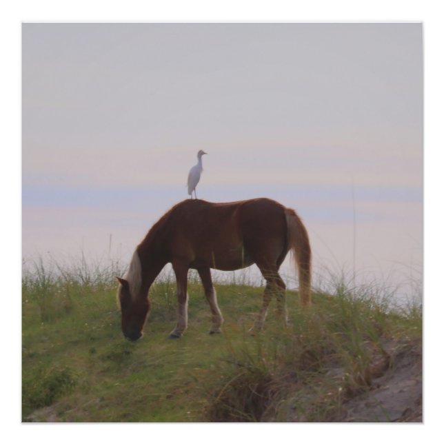 Horse and rider in the dunes photo print (Front)