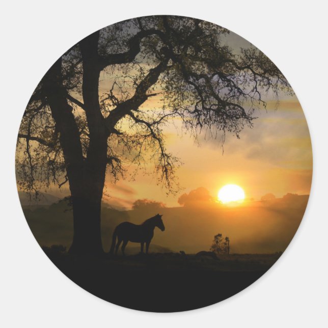 Horse and Sunrise Stickers (Front)