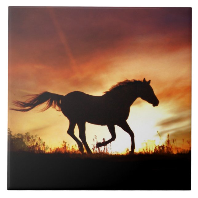 Horse and Sunset Art Tile (Front)