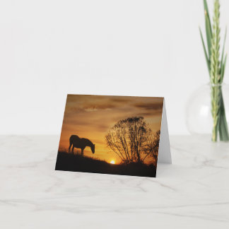 Horse and Sunset Deepest Sympathy Card