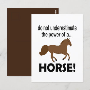 Horse Animal Cute Funny Horse Postcard