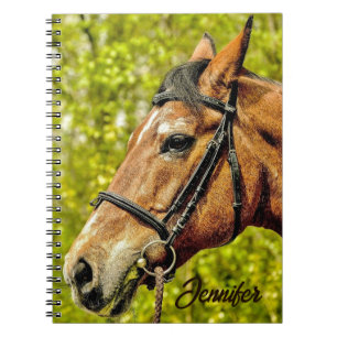 Horse Animal Portrait Personalised Name Notebook
