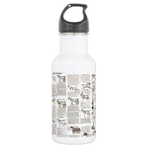 Horse Antique Advertising Newspaper Art 532 Ml Water Bottle