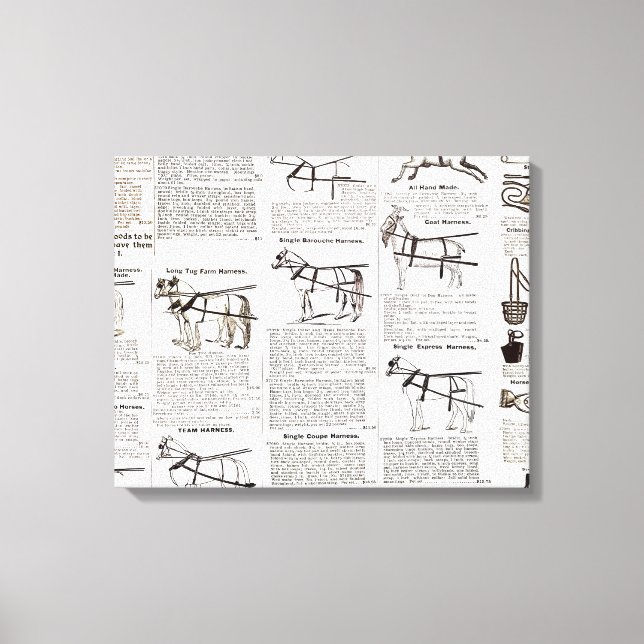 Horse Antique Advertising Newspaper Art Canvas Print (Front)